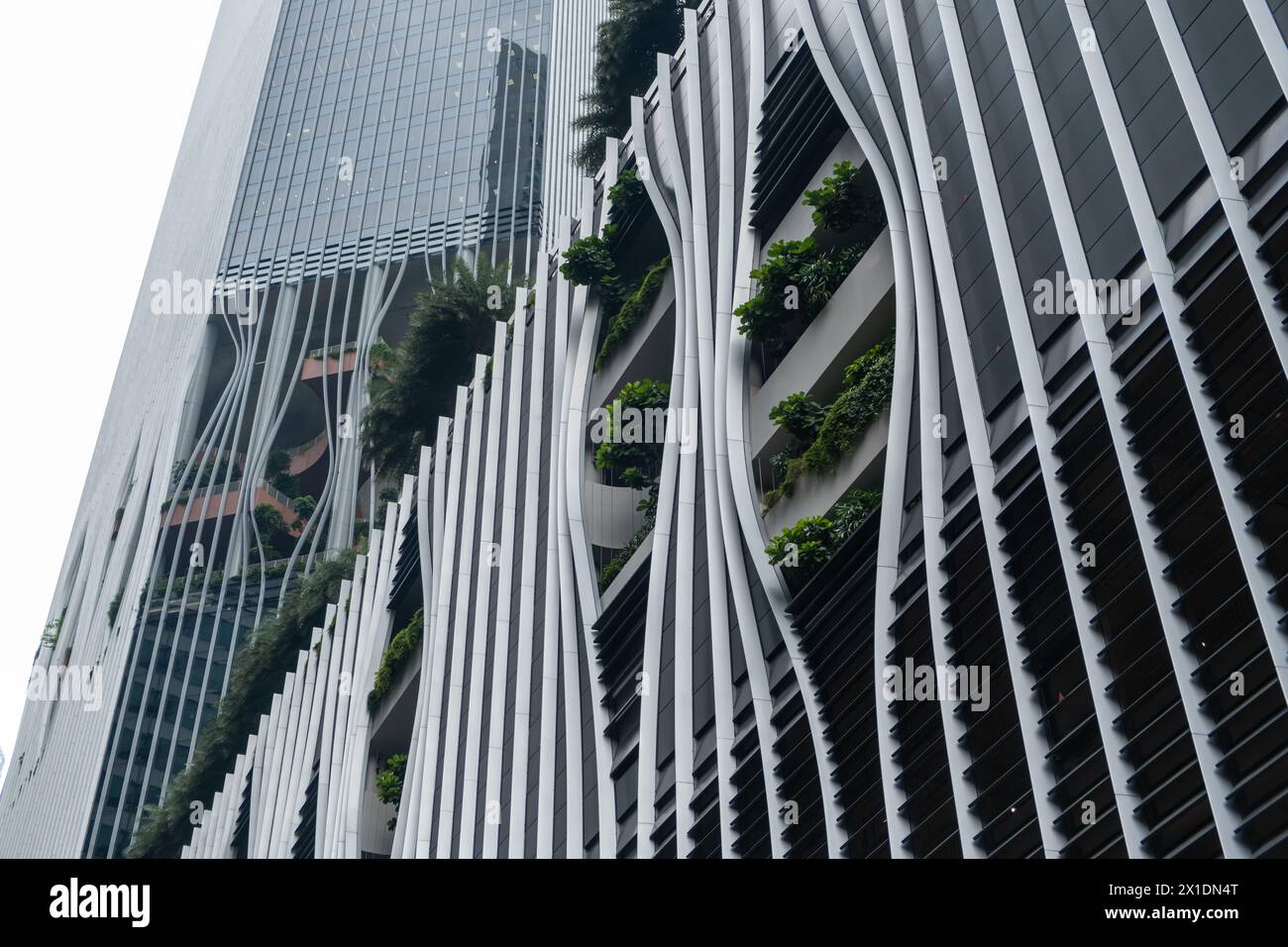 Singapur - 8. März 2024: Fassade des CapitaSpring Building. Es ist eine Wolkenkratzer integrierte Entwicklung bietet Arbeits-, Live- und Spielräume in einer vertikalen Ecke Stockfoto