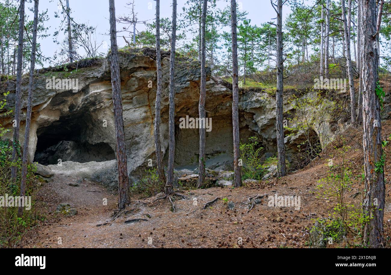 Eingang zum Höhlensystem „Wilder Ofen“, geschaffen durch den ehemaligen Abbau von Schleifsand aus dem Dolomitgestein (Gainfarner Brekzie) am Harz Stockfoto