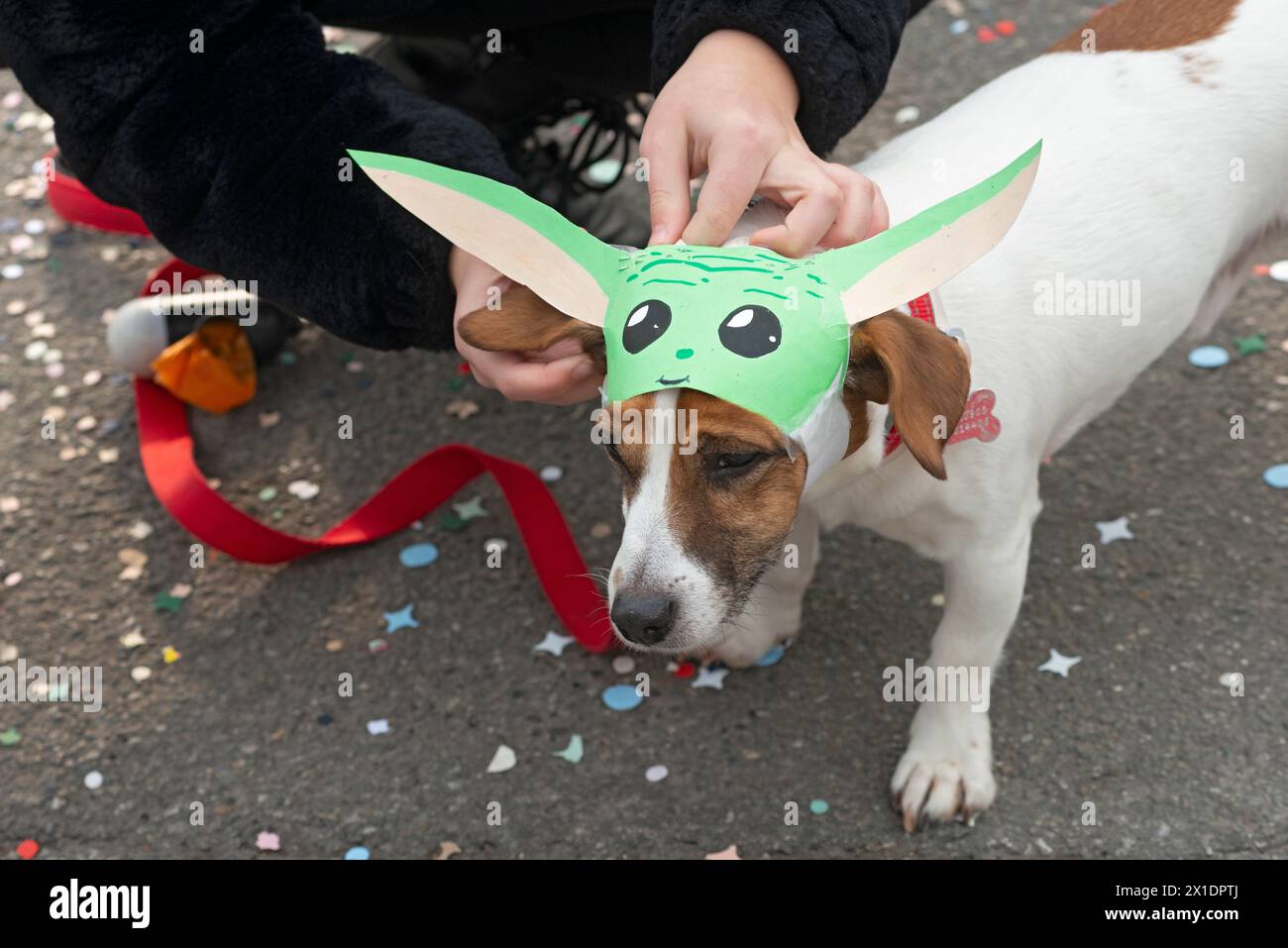 Hund in einem Yoda Kostüm Stockfoto