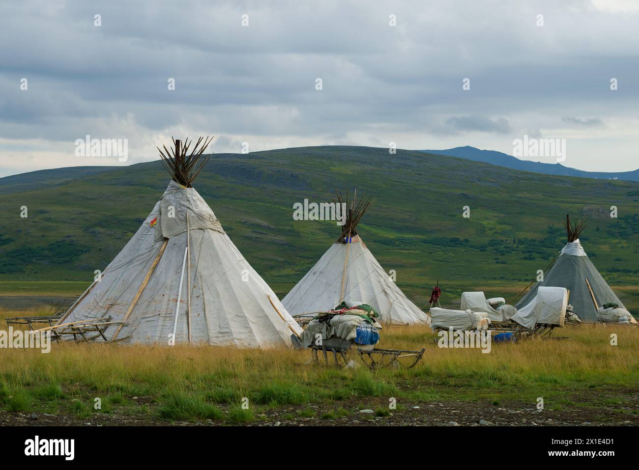 Bewölkter Sommermorgen auf einer Siedlung von Khanty-Rentierzüchtern. Yamal, Russland Stockfoto