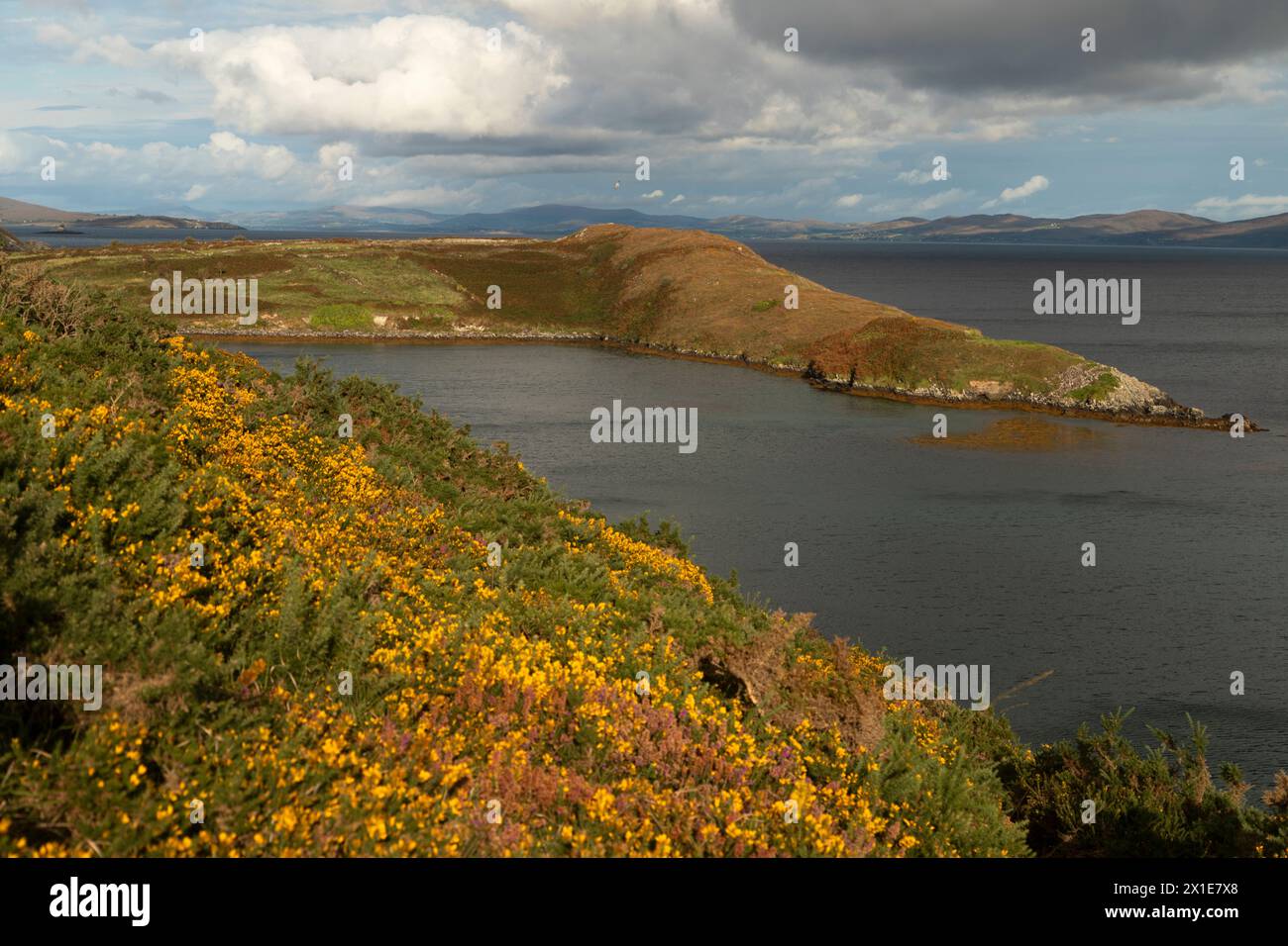 Lonehort wikingerhafen auf der Insel Bere auf der Halbinsel Beara am Wild Atlantic Way in West Cork in Irland Europa Stockfoto