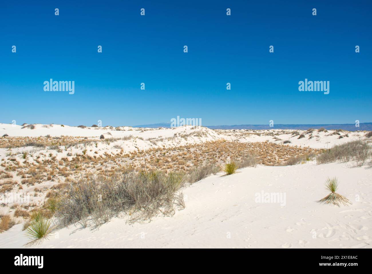 White Sands National Park in New Mexico Stockfoto