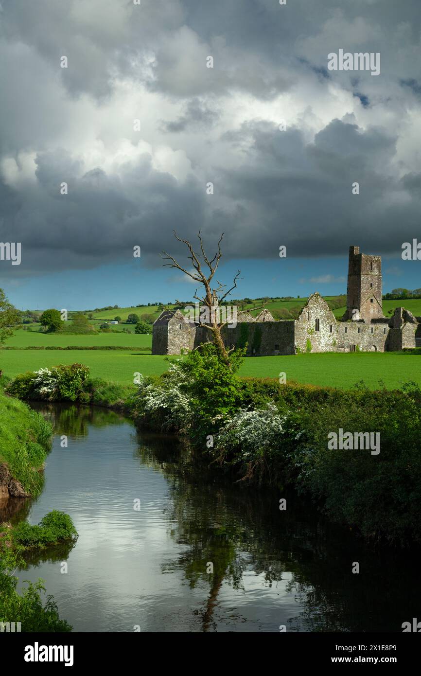 Ruinen der Abtei Kilcrea auf Farmland im County Cork in der Region Munster in Irland Stockfoto
