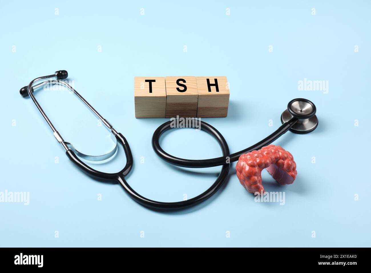 Endokrinologie. Stethoskop, Holzwürfel mit Schilddrüsenhormonen und Modell der Drüse auf hellblauem Hintergrund Stockfoto
