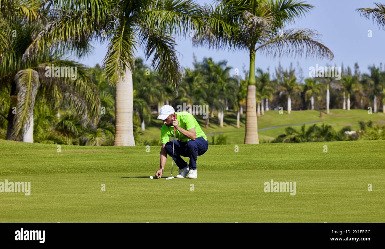 Golfer auf dem Grün mit einem Putter in der Hand. Ein Spieler auf dem Grün bewertet die Steigungen und die Distanz zum Loch, bevor er den Ball in Richtung t richtet Stockfoto