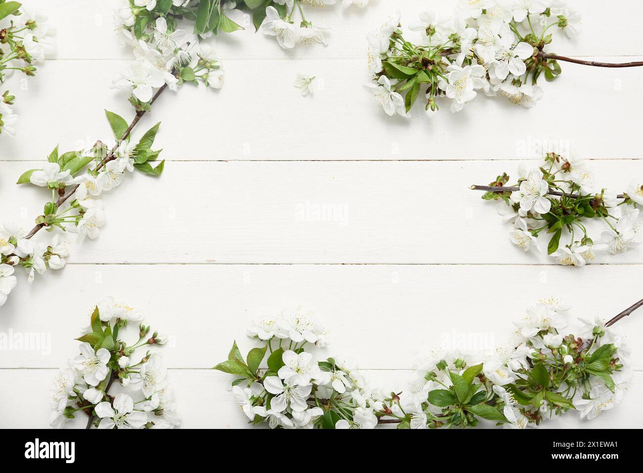 Rahmen aus schöne blühende Zweige auf weißem Holz- Hintergrund Stockfoto