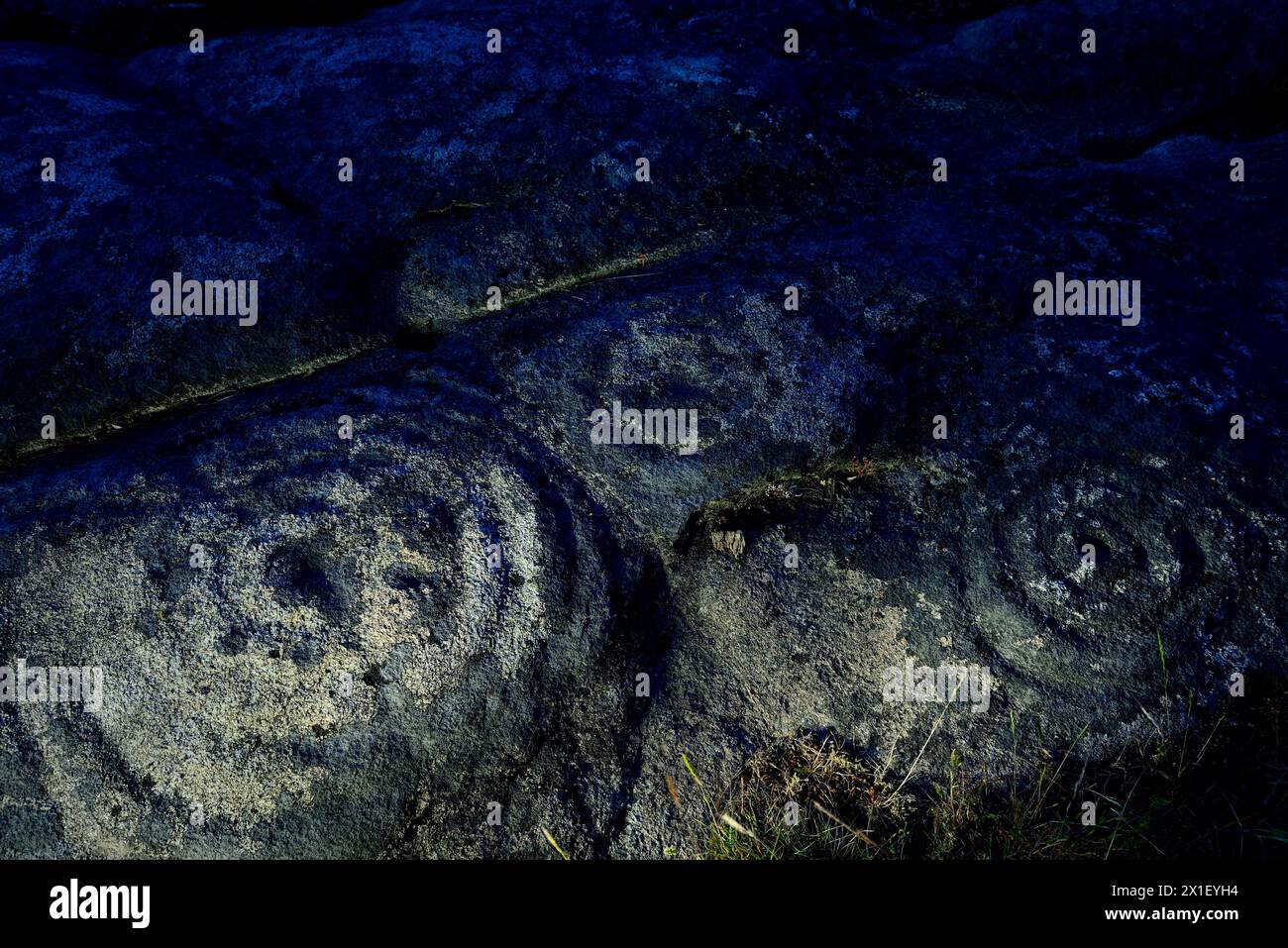 Petroglyphen Einer Paxota, nüchtern, Lugo, Spanien Stockfoto