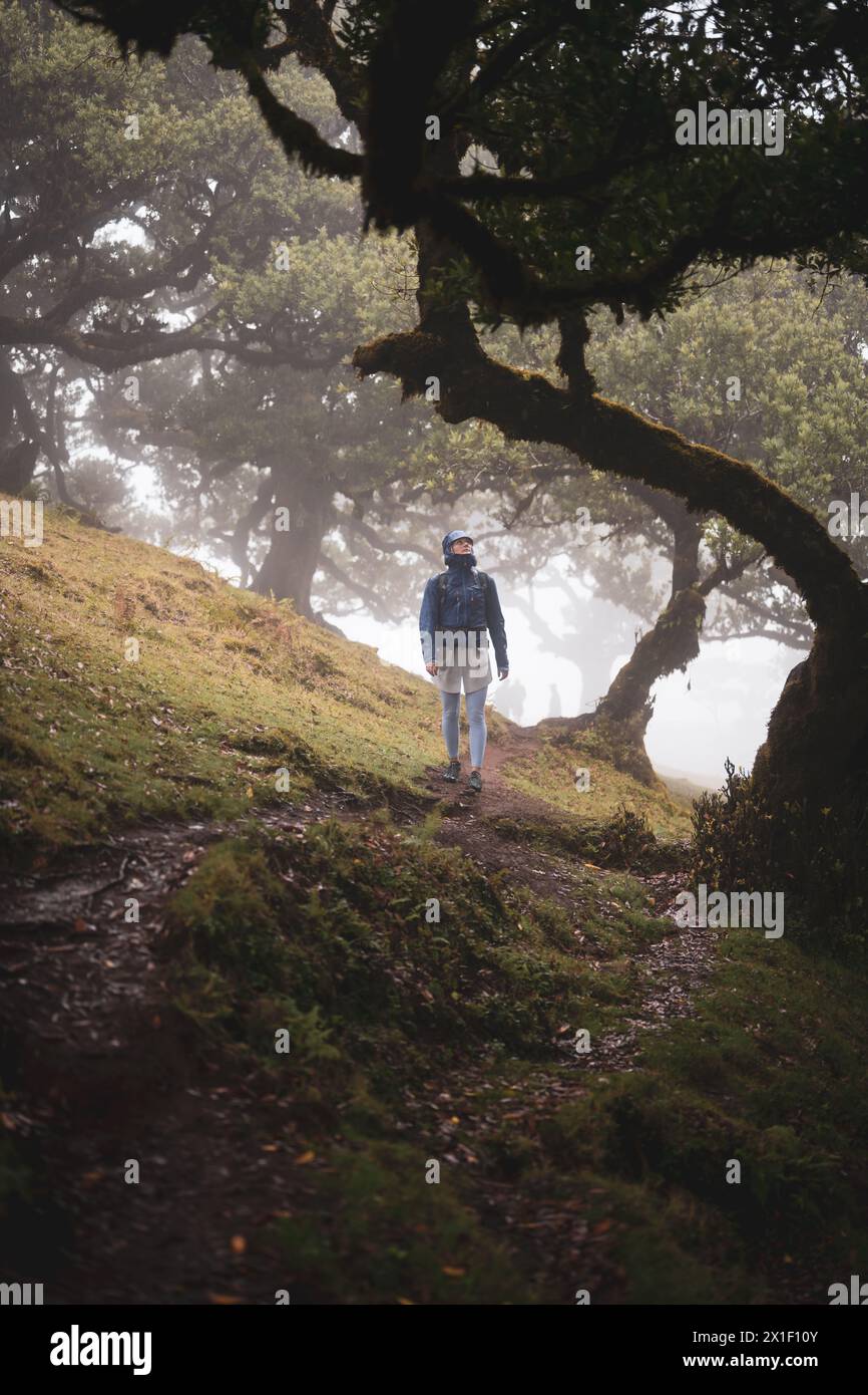 Beschreibung: Vorderansicht eines Rucksacktouristen in regenfester Kleidung, der auf einem Wanderweg in einem mystischen Nebelwald mit riesigen Lorbeerbäumen spaziert. Fanal-Wald, Stockfoto