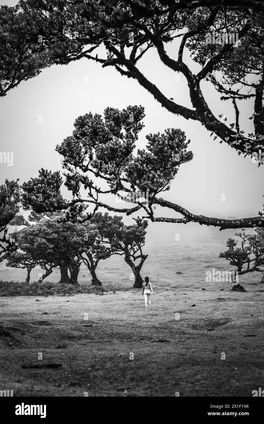 Beschreibung: Barfuß Frau in Sportbekleidung geht über flaches Feld mit herzförmigem Lorbeerbaum in nebeliger Atmosphäre. Fanal Wald, Madeira Insel, Portu Stockfoto