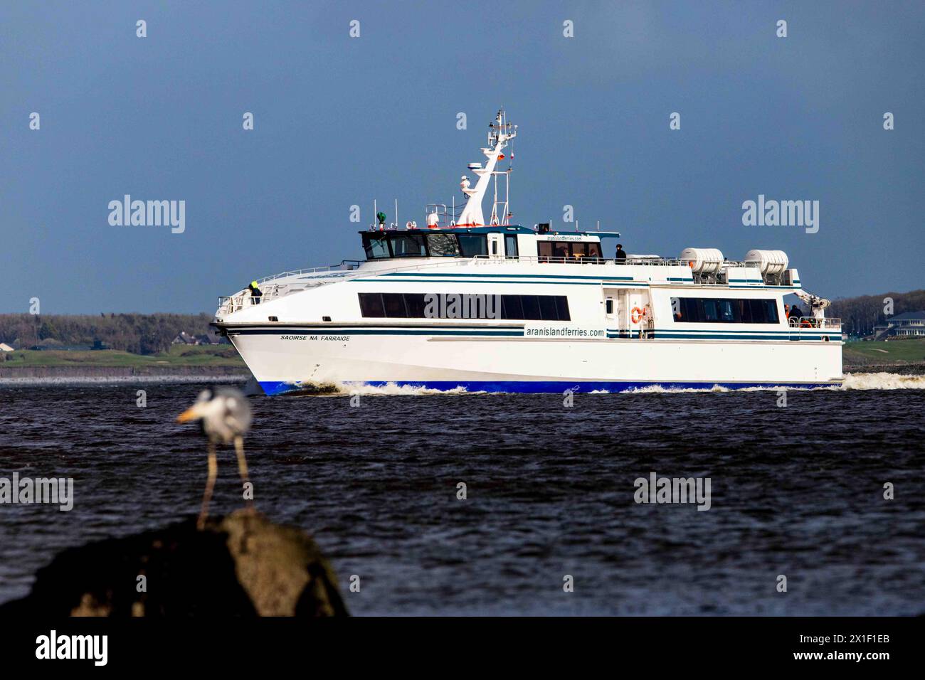 Aran Island Ferries Saoirse na Farraige nähern sich den Docks von Galway Stockfoto Aran Island Ferries Saoirse na Farraige nähern sich den Docks von Galway Stockfoto