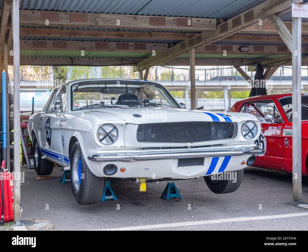 April 2024: Sammlung von Ford Mustang Rennwagen im Fahrerlager bei der 81. Mitgliederversammlung in Goodwood, anlässlich des 60. Jahrestags der Markteinführung Stockfoto