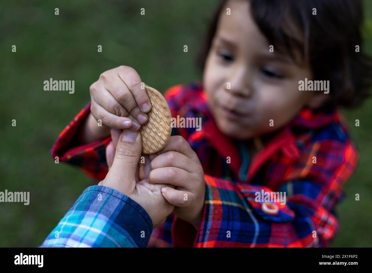 Der 3-jährige Junge erhält einen Keks, den seine Mutter schenkt. Selektiver Fokus auf das Cookie. Familienkonzept und Muttertag. Stockfoto