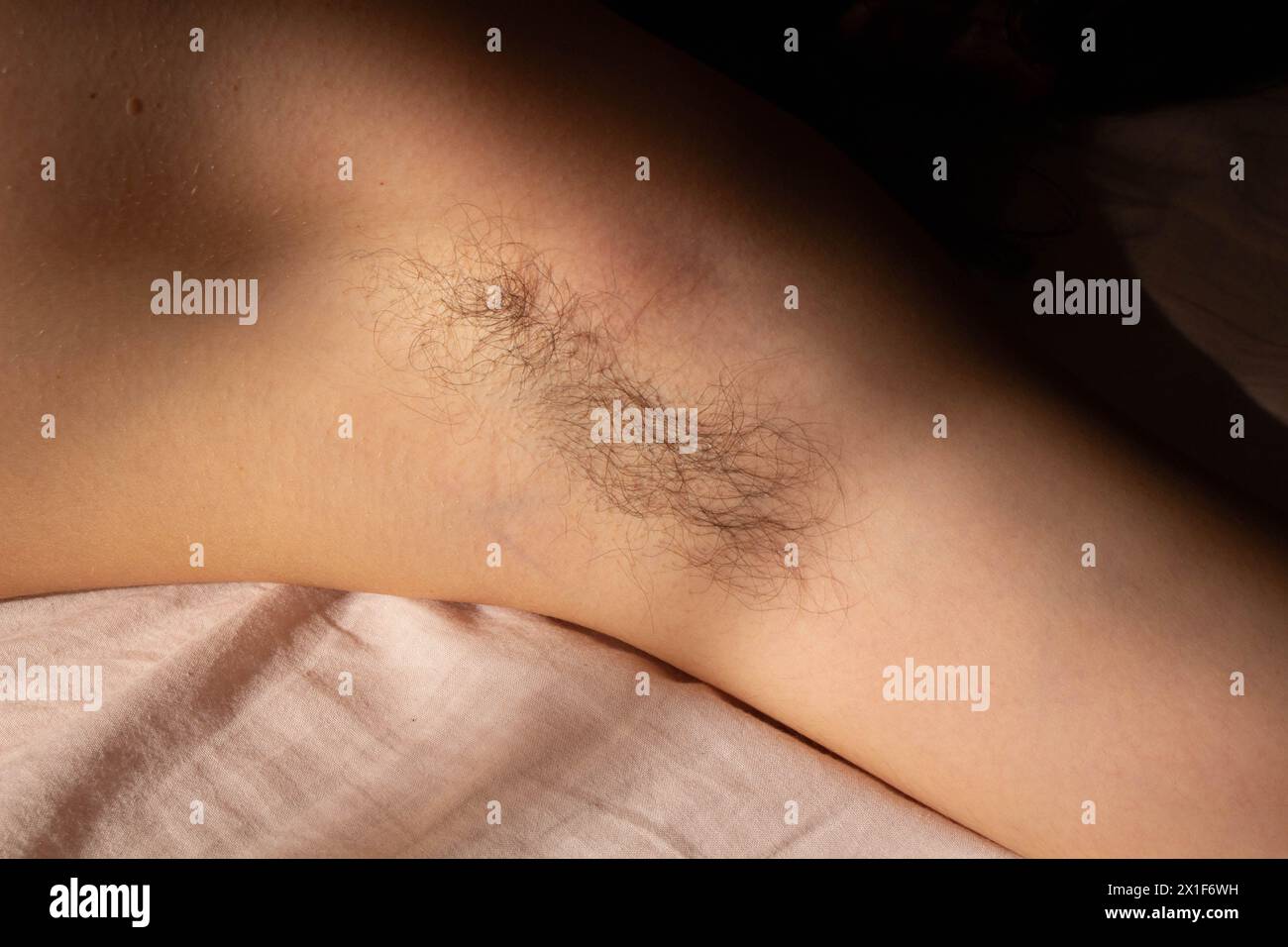 Stellen Sie die Schönheitsstandards heraus und feiern Sie die natürliche Authentizität mit diesem eindrucksvollen Bild einer weiblichen Achselhöhle, die mit Haaren verziert ist Stockfoto