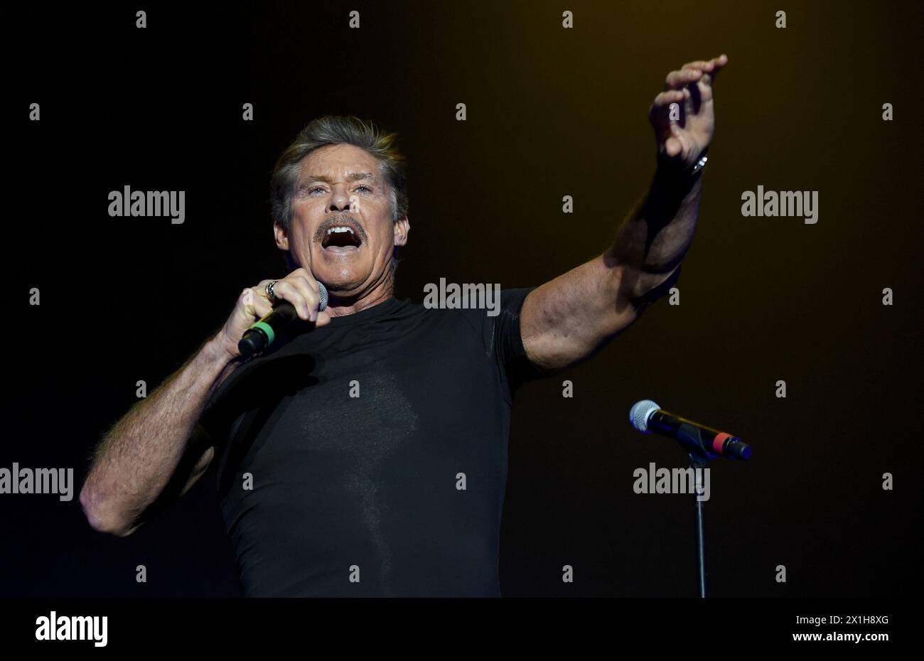 US-amerikanischer Schauspieler und Sänger David Hasselhoff beim Konzert auf der Red Stage während des Nova Rock 2017 Festivals in Nickelsdorf, Österreich, 17. Juni 2017. Die Veranstaltung findet vom 14. Bis 17. Juni 2017 statt. - 20170618 PD0098 - Rechteinfo: Rechte verwaltet (RM) Stockfoto