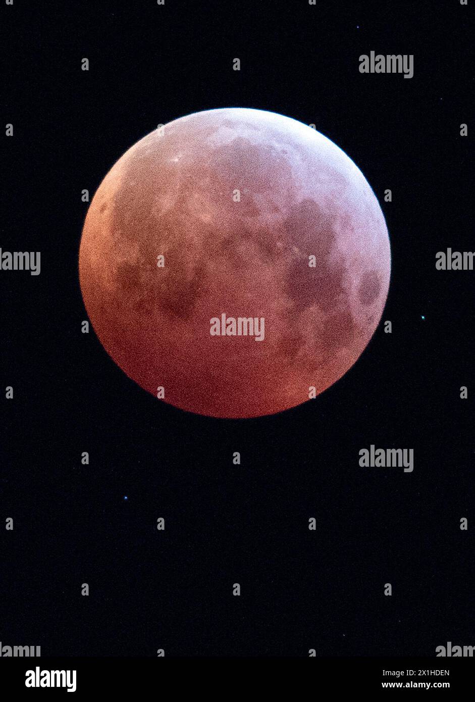 Totale Mondfinsternis (Blutmond) aus Wien am 21. Januar 2019. - 20190121_PD0846 - Rechteinfo: Rechte verwaltet (RM) Stockfoto