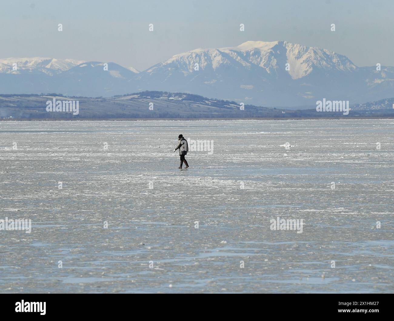 Gefroren durch den kalten Wind am Montag, 15. Februar 2021, am Neusiedler See bei Illmitz. Letztes Wochenende herrschte in Österreich die Eiszeit weiter - 20210215 PD4230 - Rechteinfo: Rights Managed (RM) Stockfoto