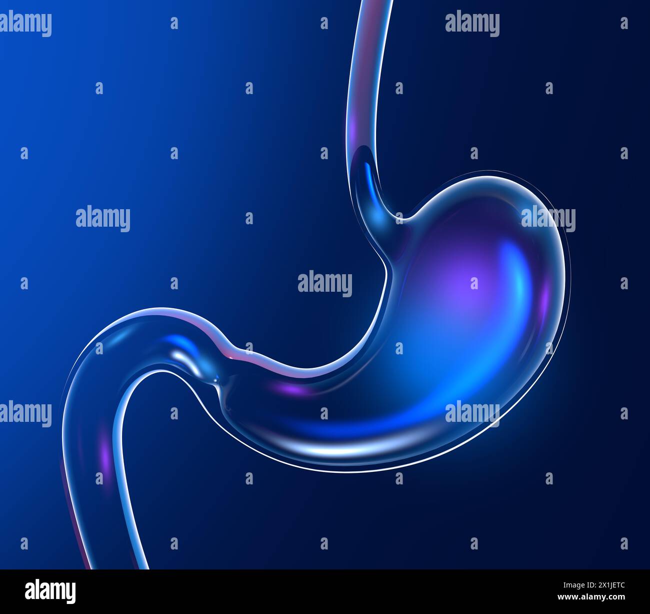 3D-Illustration eines transparenten Glasmagens mit Glanz und Reflexionen. Anatomischer Abschnitt von vorne auf dunkelblauem Hintergrund. Stockfoto
