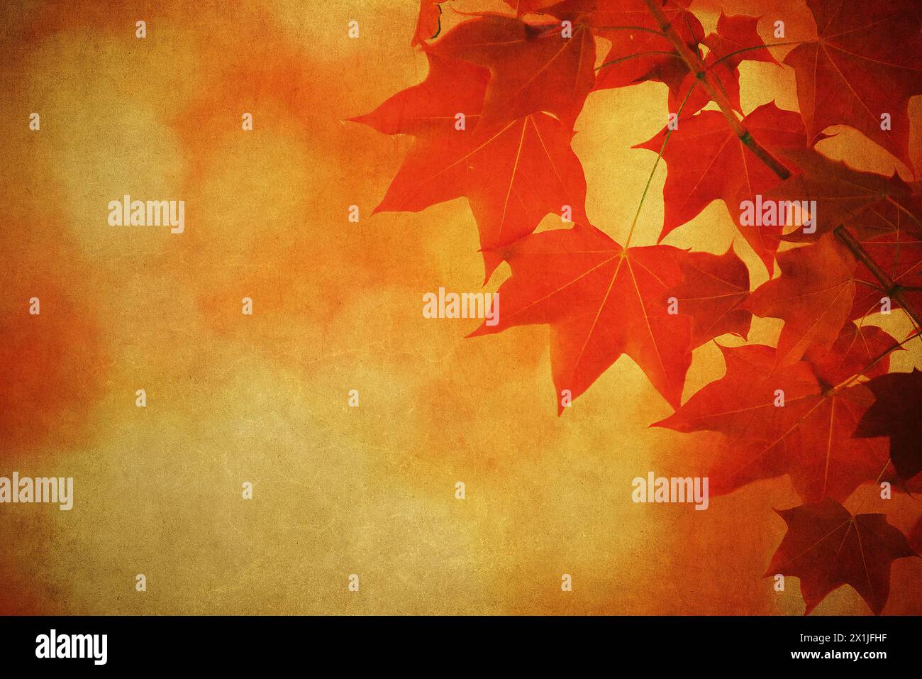Herbstlaub über altem Papier. Perfekter Grunge Herbst Hintergrund. Stockfoto