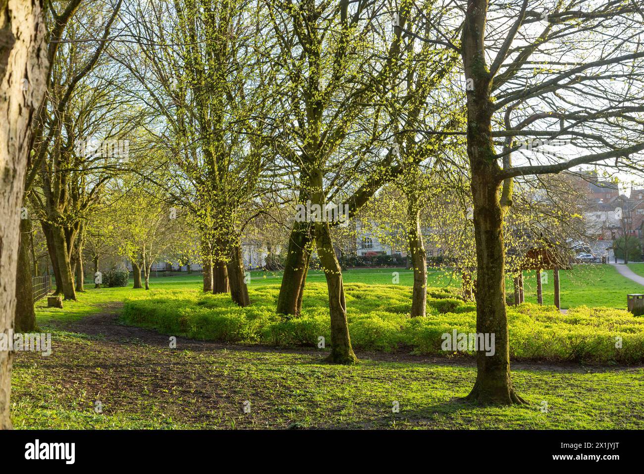 Das Moor ist ein schöner, offener Park in Knutsford Stockfoto