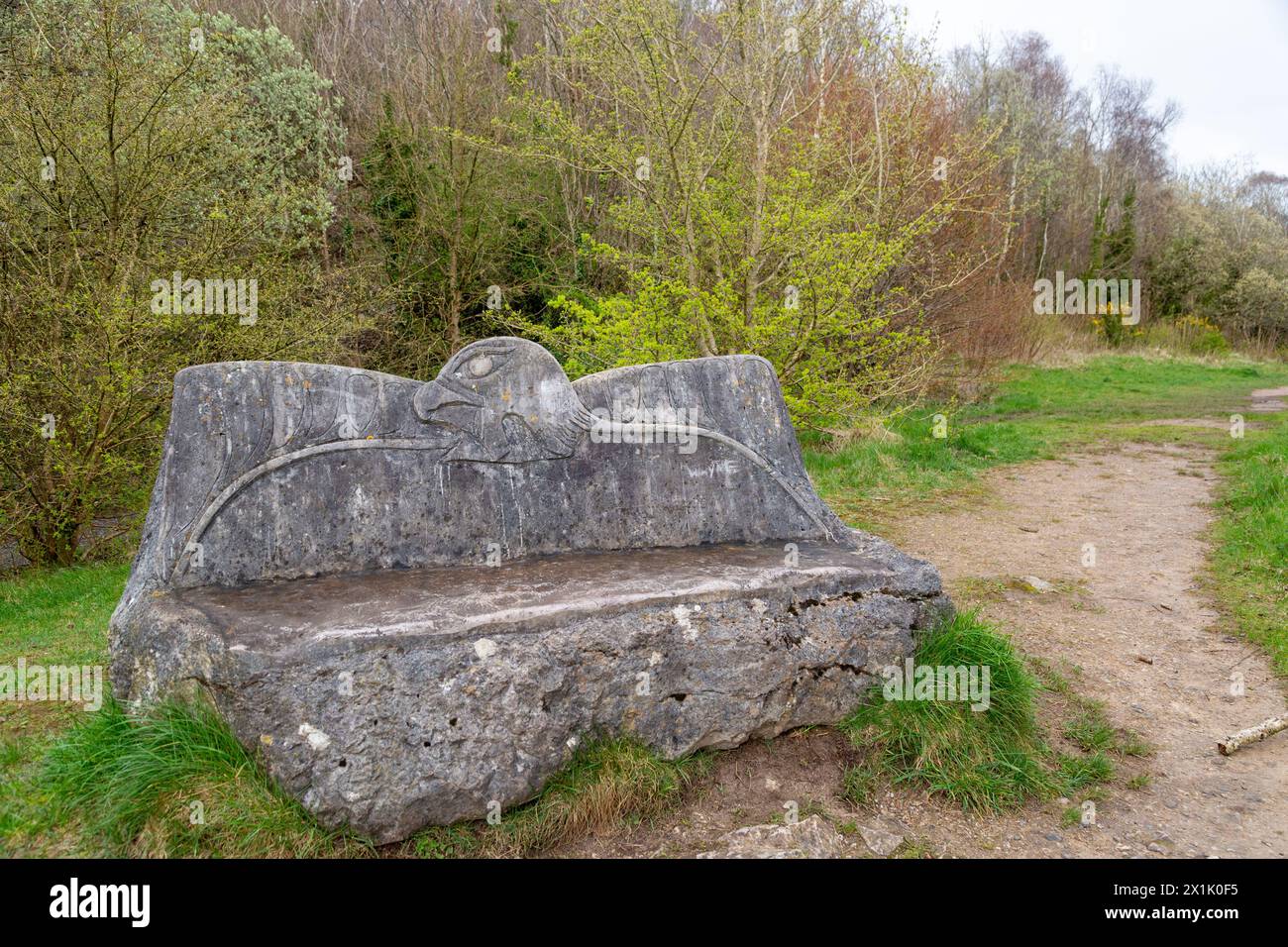 Eine Steinbank in Warton Crag Lancashire, einem beliebten Naturschutzgebiet in Lancashire, England Stockfoto