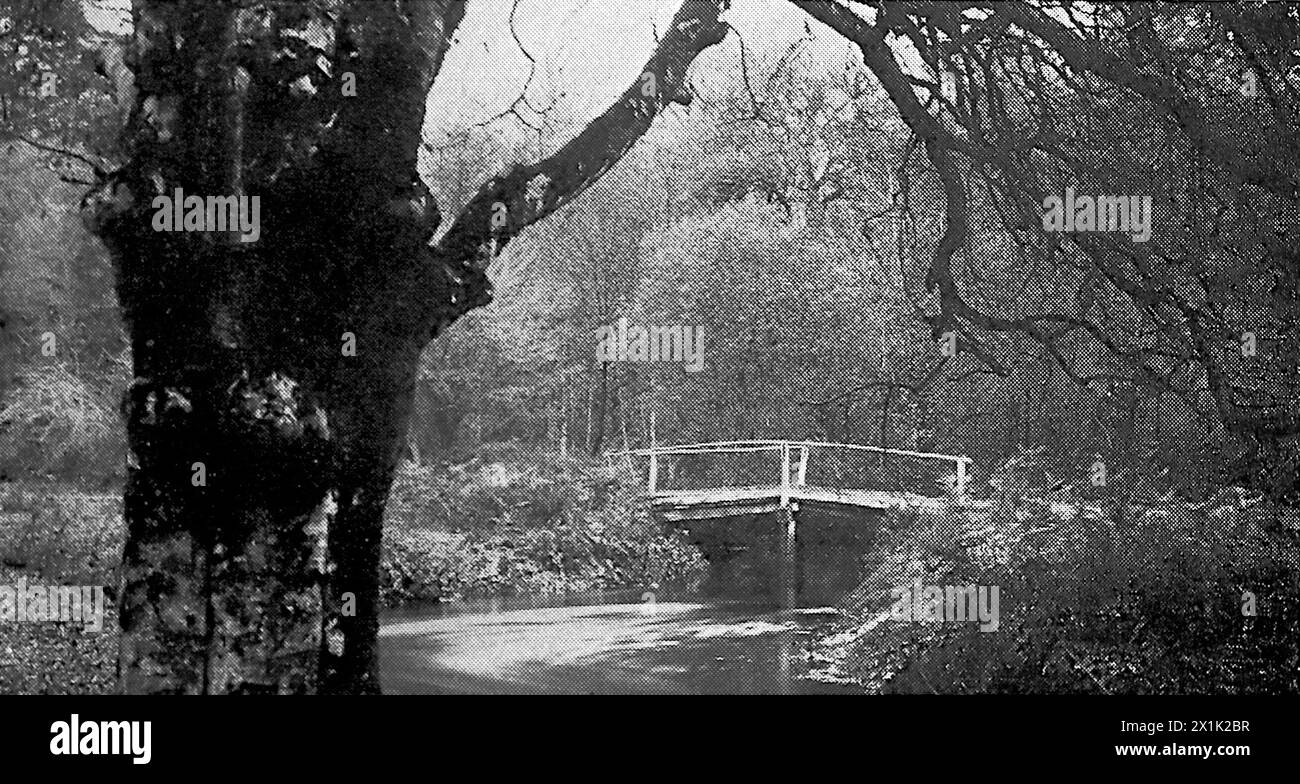 Blick auf einen Bach und eine kleine Brücke in der Nähe von Lyndhurst im New Forest. Ursprünglich gedruckt und veröffentlicht für die Portsmouth and Southsea Improvement Association, 1924. Stockfoto