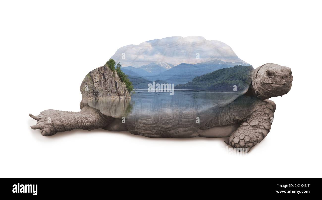 Doppelte Exposition von Schildkröte und See zwischen Hügeln Stockfoto
