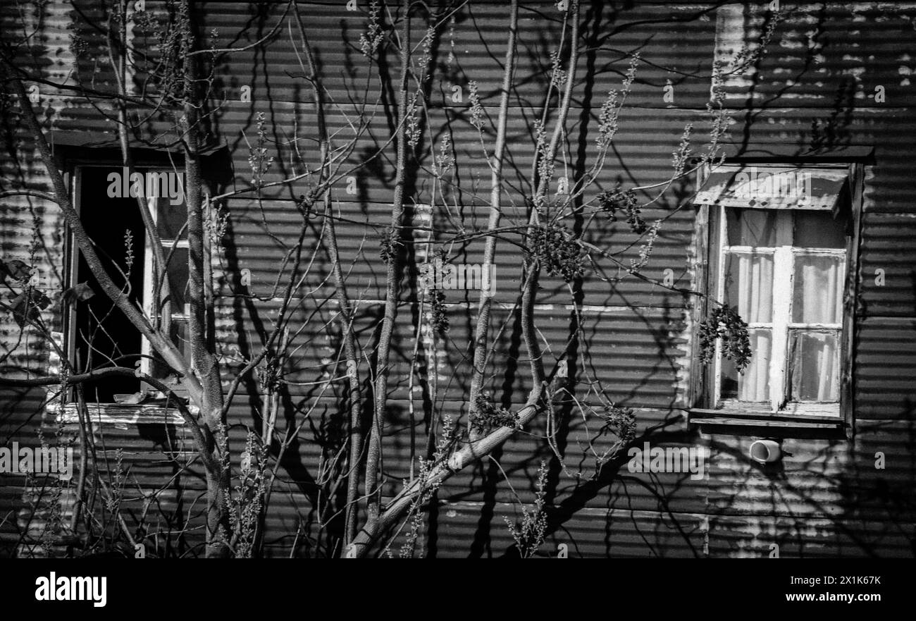 Ventanas conventillo de La Boca - Buenos Aires/Argentinien Stockfoto