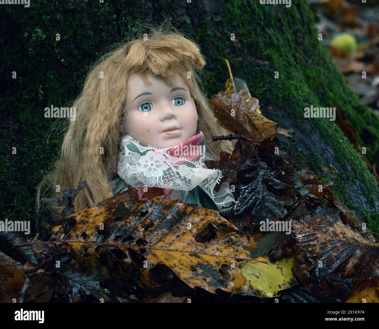 Ein Horrorkonzept. Von einer gruseligen Vintage-Puppe, die unter Blättern in einem gruseligen Herbstwald begraben ist Stockfoto