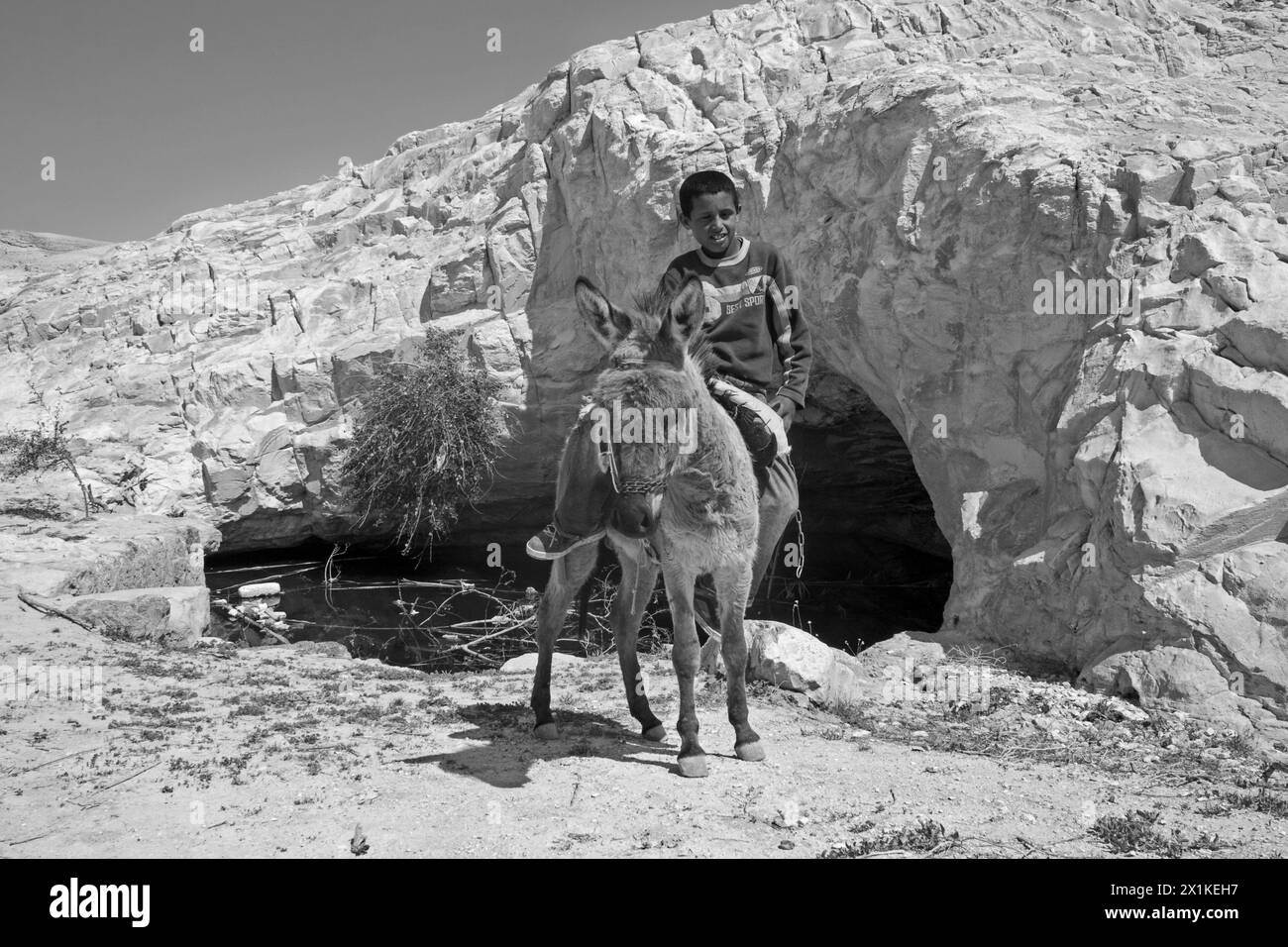 Ein Beduinenjunge reitet auf einem Esel in der Wüste Stockfoto