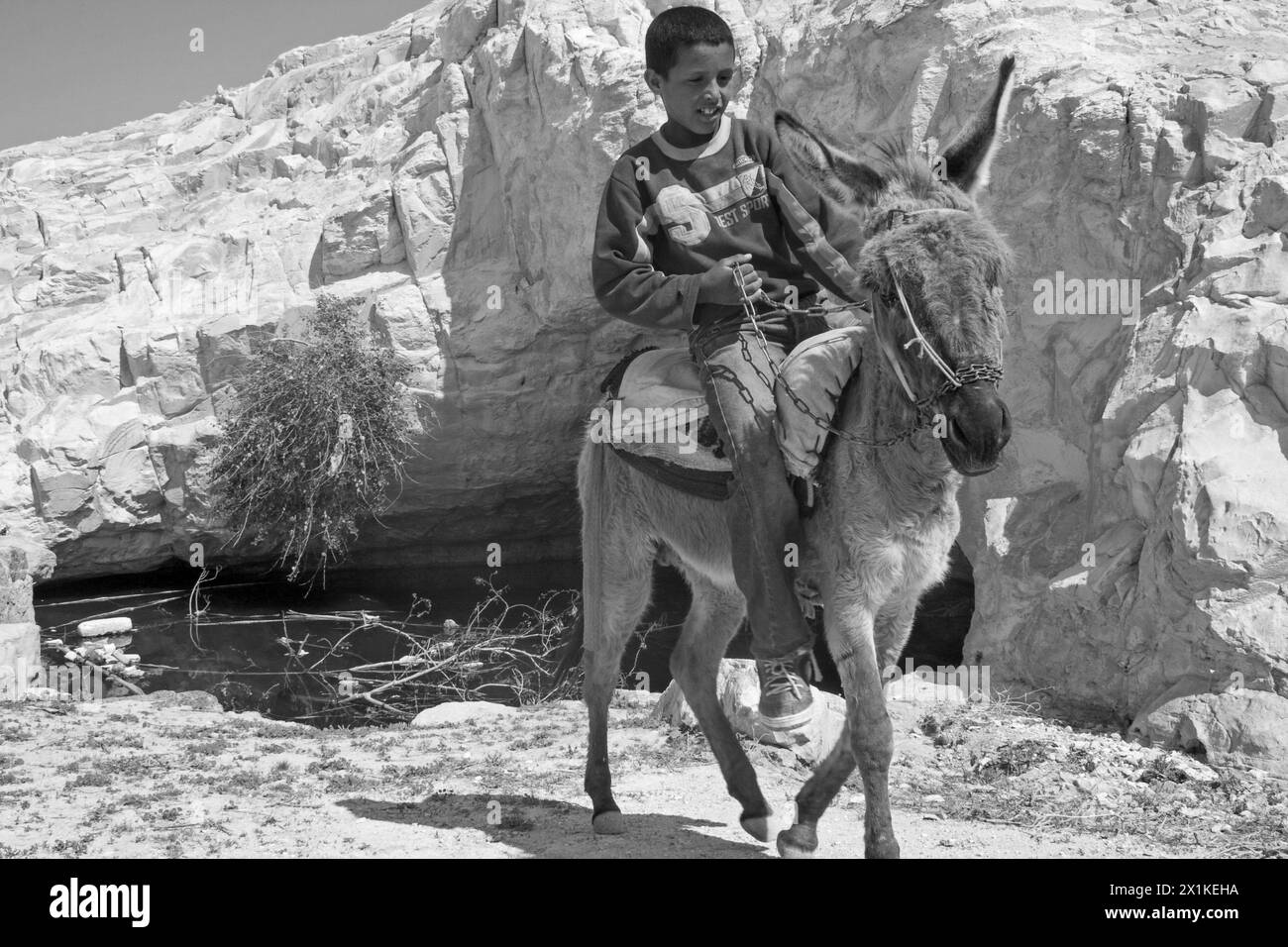 Ein Beduinenjunge reitet auf einem Esel in der Wüste Stockfoto