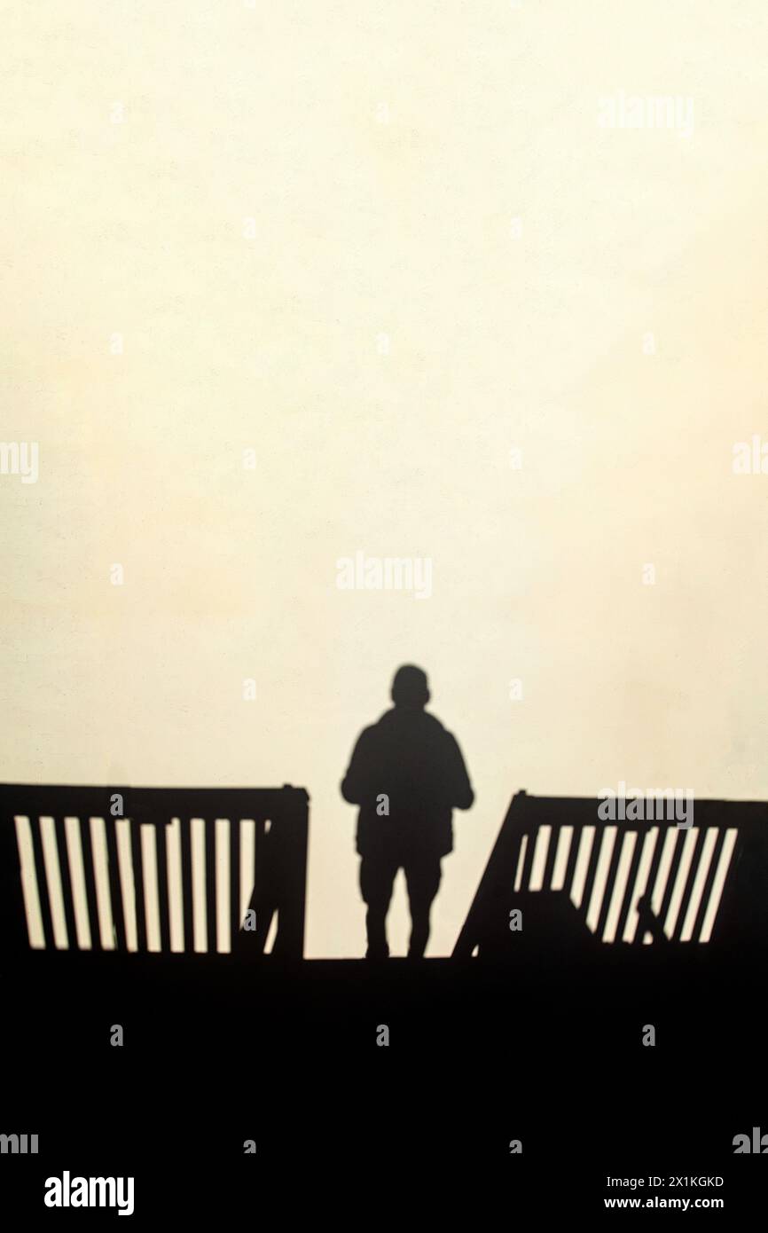 Schatten einer Person und ein Zaun auf einer cremefarbenen Wand. Stockfoto