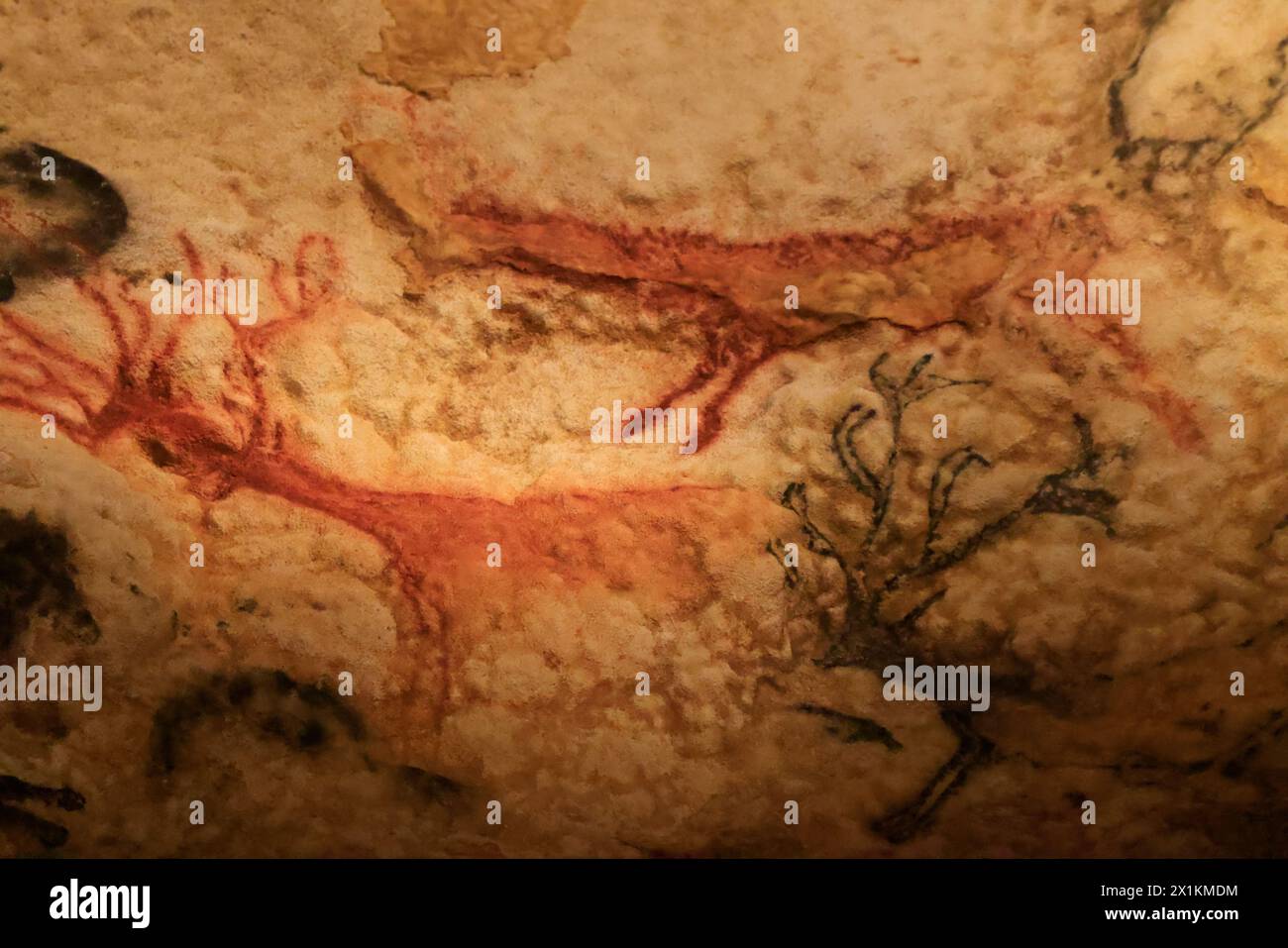 Lascaux IV, International Center for Cave Art (Centre international de l'Art pariétal), präsentiert unter anderem ein vollständiges Faksimile aller d Stockfoto