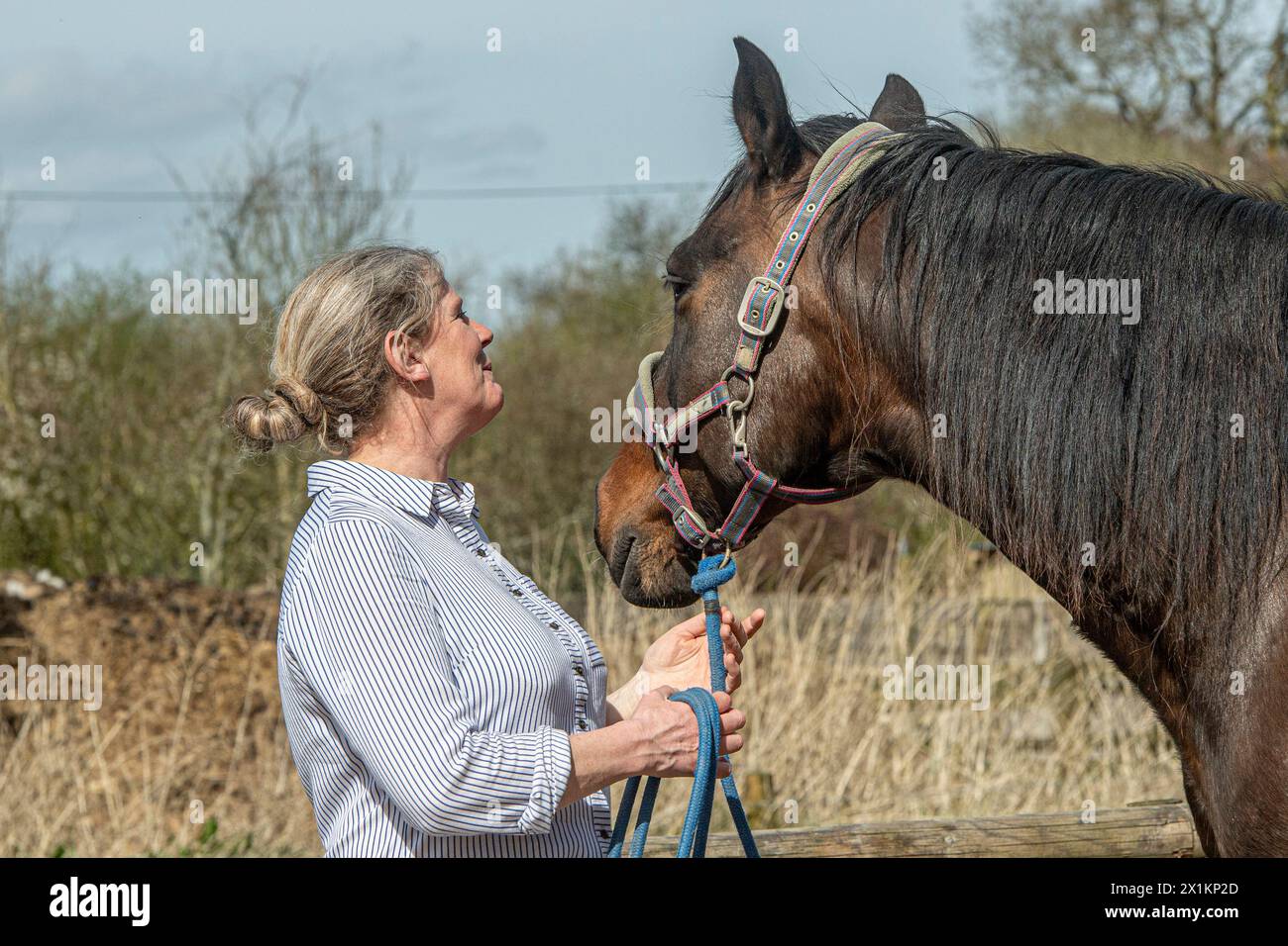 Die Pferdefrau und ihr Pferd Stockfoto
