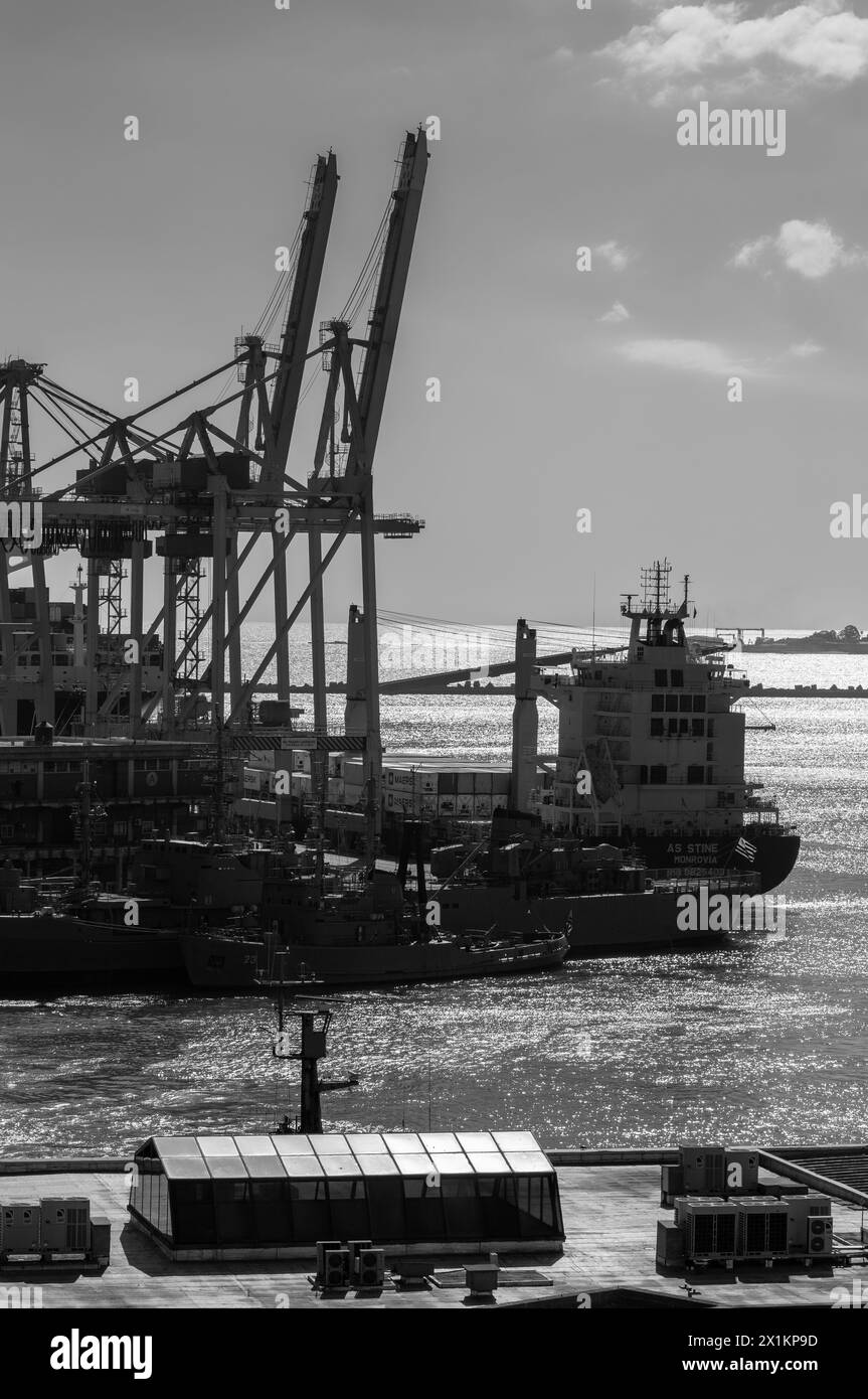 Kraniche, Hafen von Montevideo, Uruguay, Südamerika Stockfoto