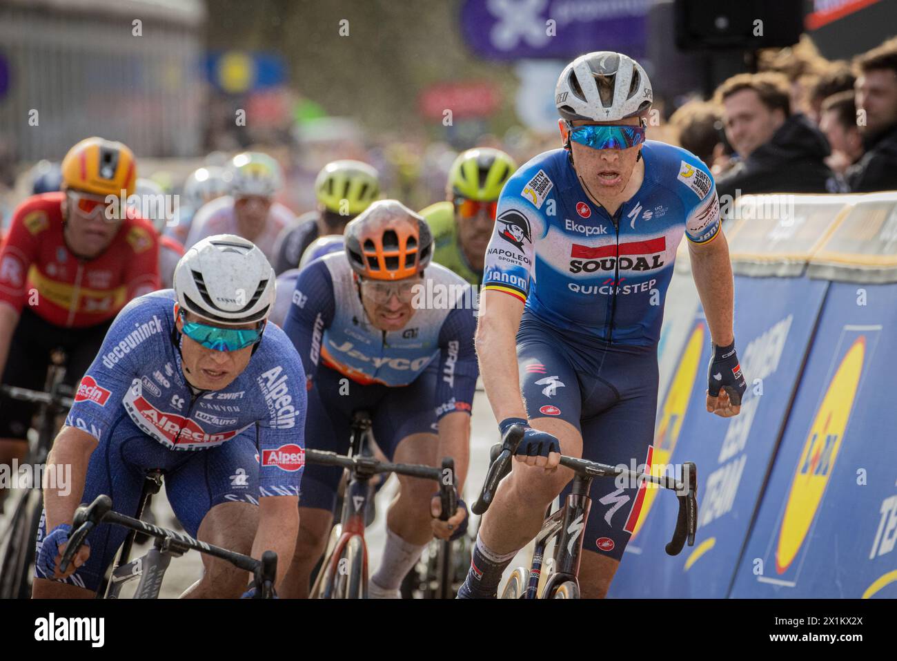 ZScheldeprijs, Belgien. Soudal Quick – Tim Merlier von Step feiert den Sieg bei Scheldeprijs, nachdem er Jasper Philipsen und Dylan Groenewegen besiegt hat Stockfoto