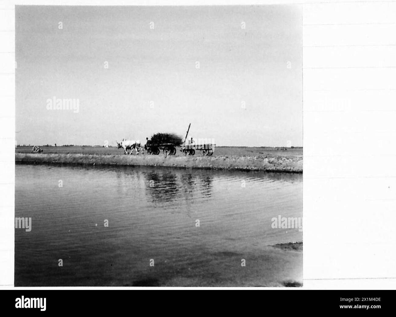 WIEDERAUFBAU VENEZIA GIULIA DURCH A.M.G. - die Erdstraße, die als Barriere für das Meerwasser dient, an der Grenze des bereits zurückgewonnenen Landes, British Army Stockfoto