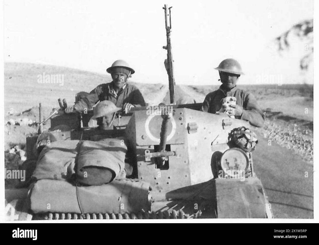 WEITERE BILDER DES BRITISCHEN VORMARSCHES IN DER westlichen WÜSTE - fröhliche Männer einer leichten mobilen Einheit mit ihrem Maskottchen, auf der Straße Tobruk-Derna, British Army Stockfoto