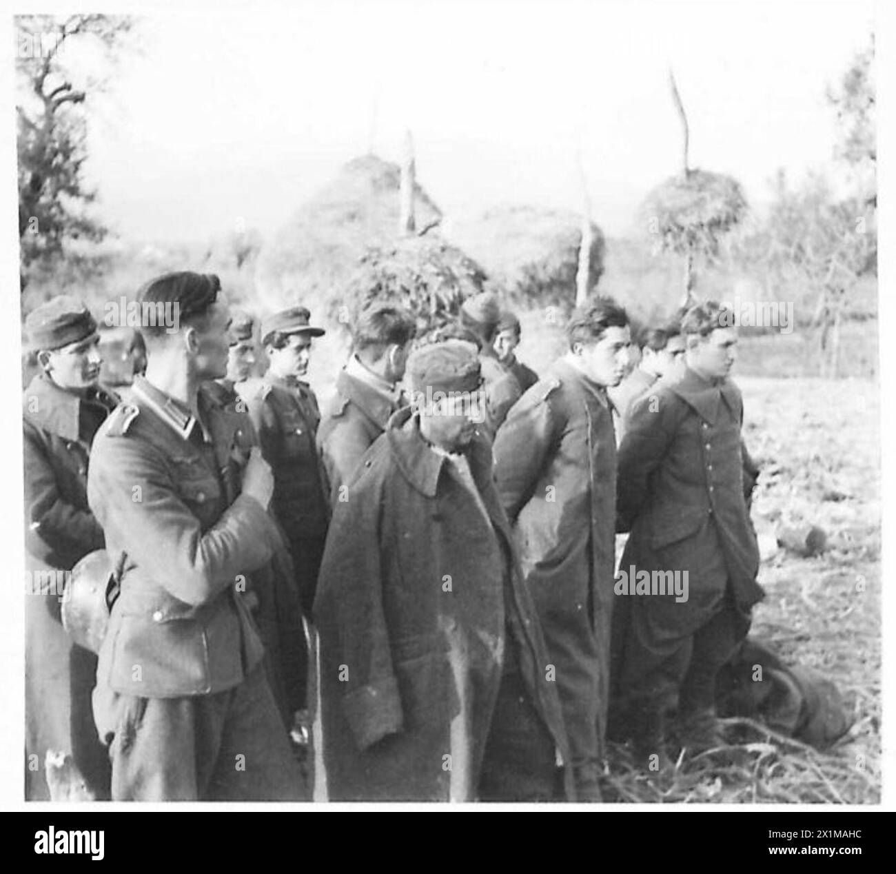 Gefangene, die während des Angriffs der Fünften Armee auf der Garigliano in Italien gefangen genommen wurden, warten auf Verhöre und den Transport in die hintere britische Armee. Stockfoto