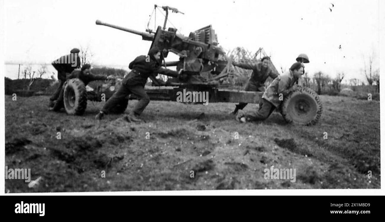 Die 3. Division Calgary Highlanders setzen eine Bofors-Kanone während des Vormarsches nach Kranenburg, British Army, 21st Army Group um. Stockfoto