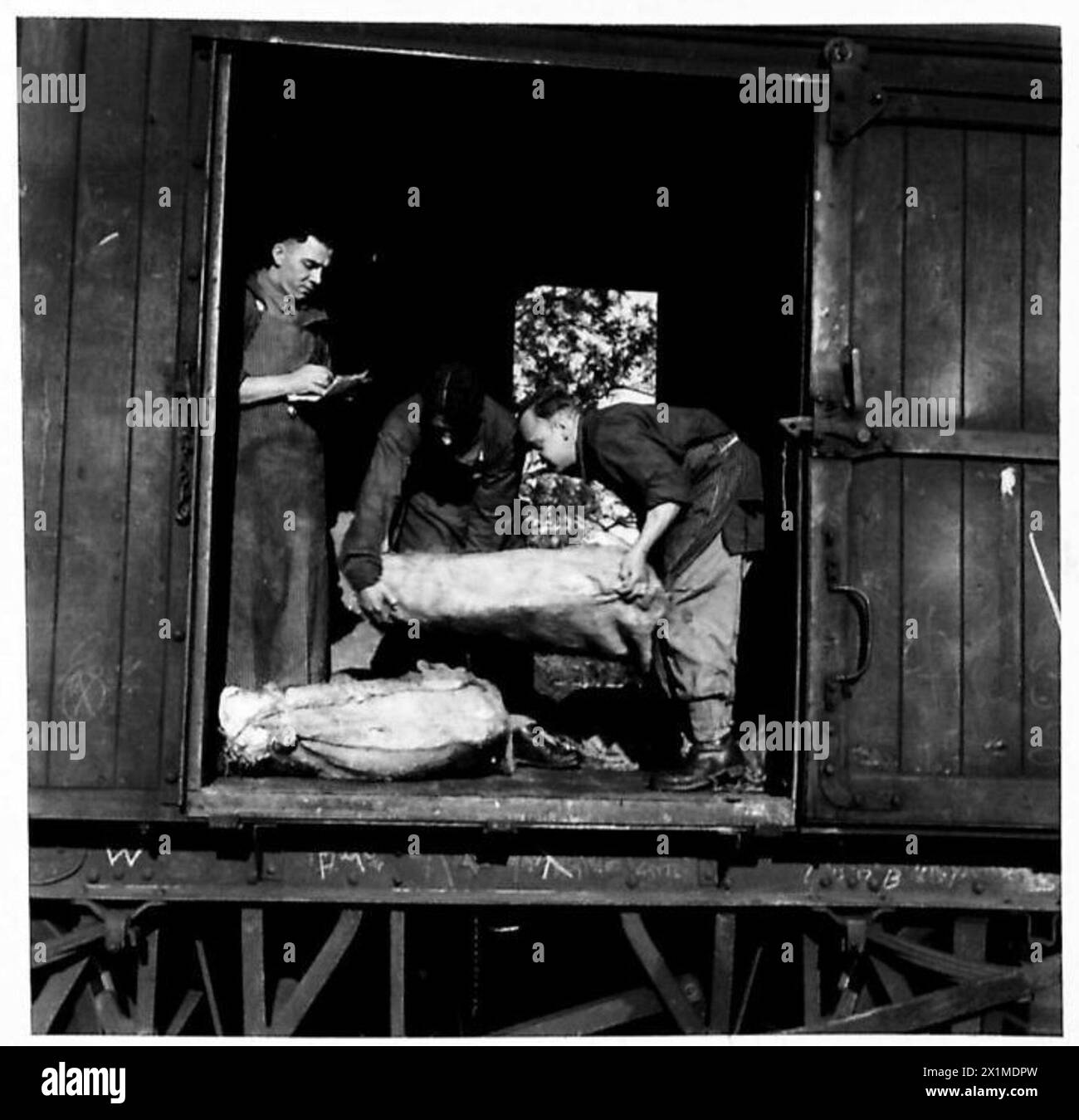 Personal des Royal Army Service Corps entladen Fleisch am Bahnkopf während einer Übung des Eastern Command der British Army. Stockfoto