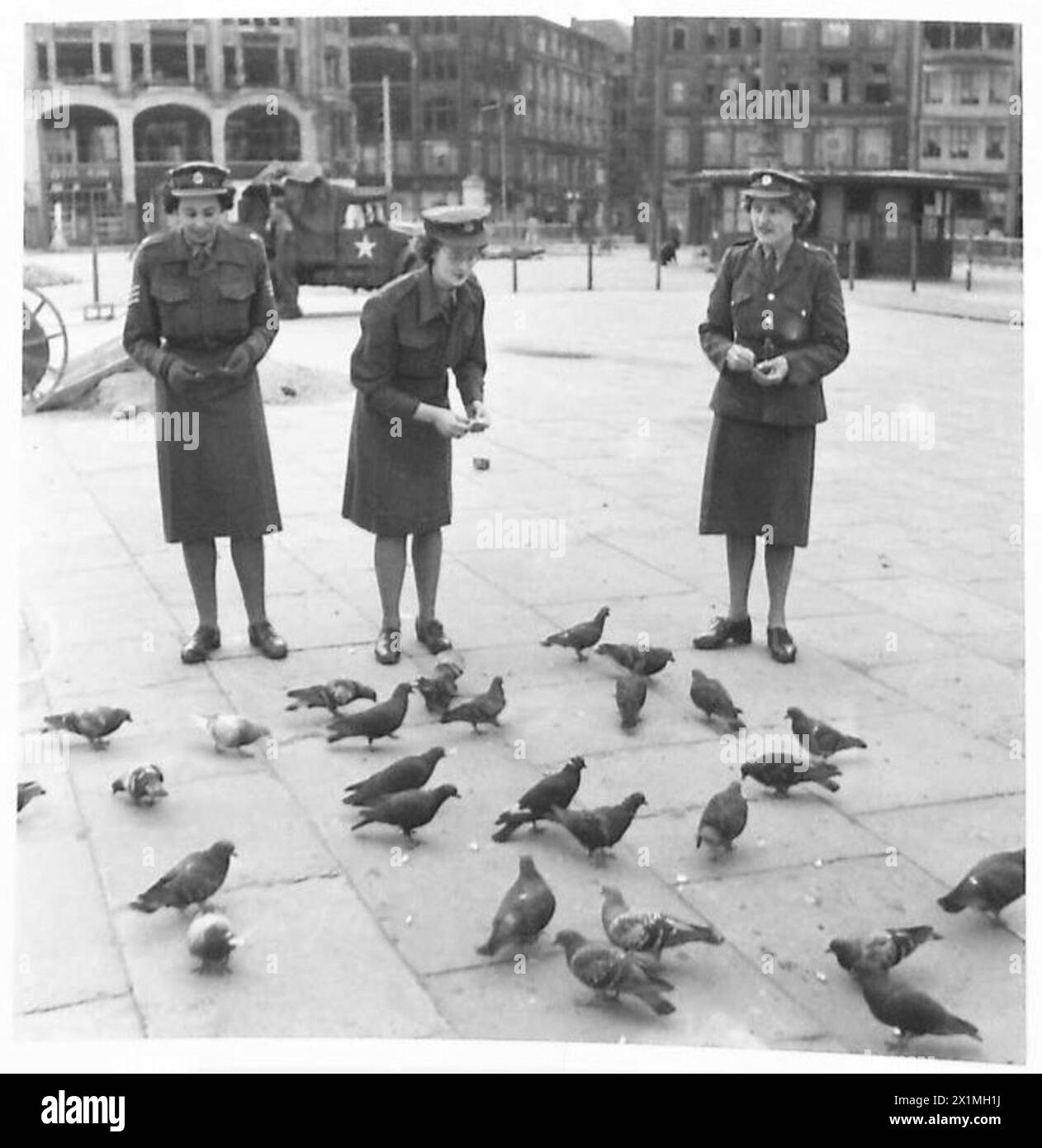 A.T.S. TRAINIERTE N.A.F.I. MÄDCHEN [IN HAMBURG] - Feedint the Tauben in the Rathaus Market, British Army, 21st Army Group Stockfoto