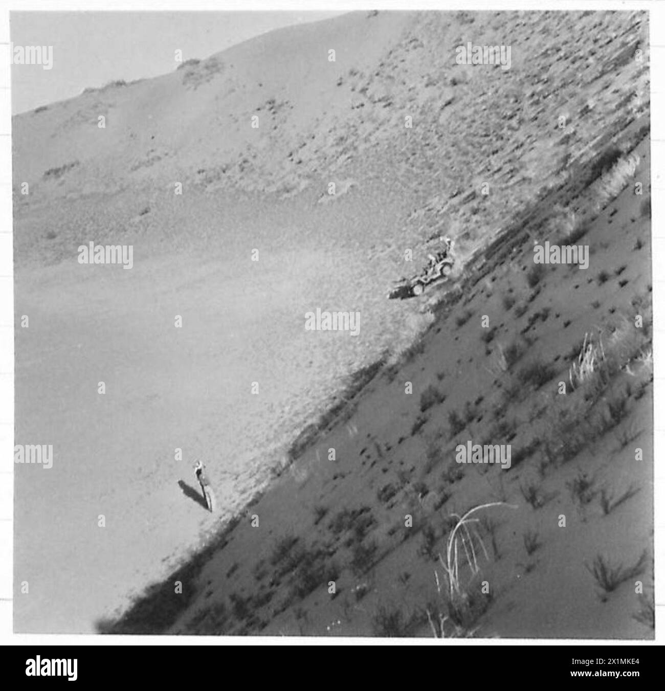 ALLIIERTE TRUPPEN REISEN DREI MILLIONEN MEILEN UND TÖTEN HEUSCHRECKEN - dieses Bild zeigt einen Jeep, der über eine steile Sanddüne hinabsteigt, Organisation der Vereinten Nationen [UNO] Stockfoto