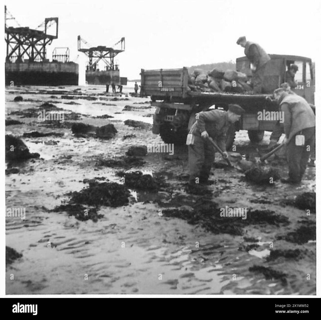 Personal von TN.5 wird gezeigt, wie er Steine aus der Rigg Bay entfernt, um das Gebiet für Brückenbau und Trainingsübungen zu räumen, British Army. Stockfoto