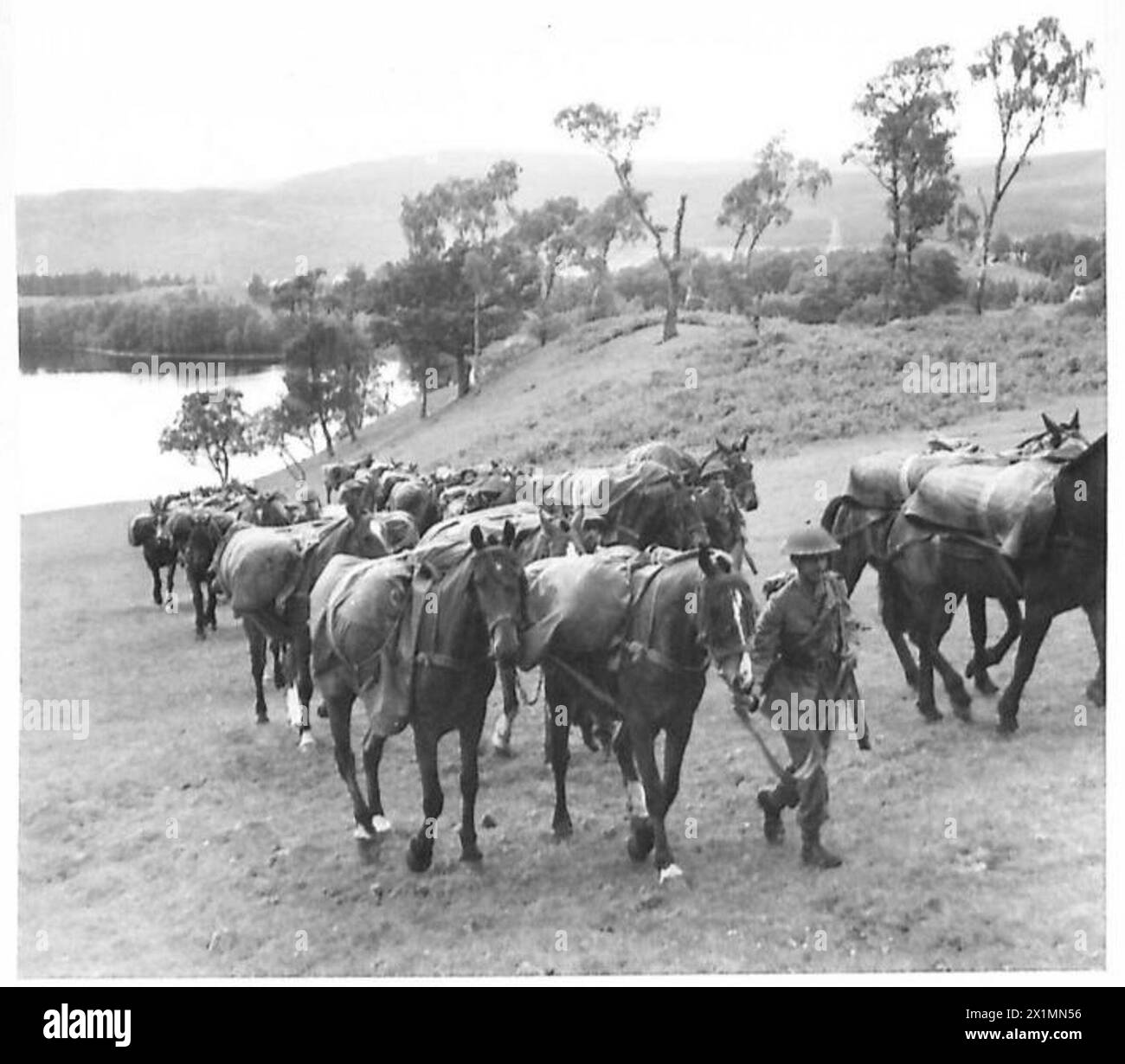 Die Pferde des Royal Indian Army Service Corps beginnen in Schottland, vor einem ruhigen See und einer malerischen Landschaft, die Vorräte und Ausrüstung für militärische Operationen transportieren. Stockfoto