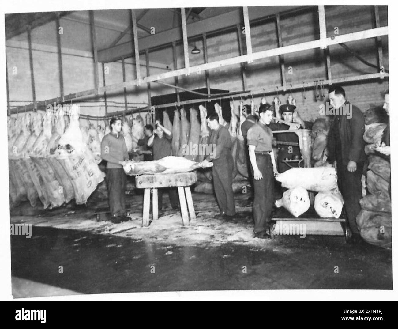 Eine Szene in einer britischen Armee-Schlachterei zeigt die Verarbeitung und Lagerung von Vorräten für Personal. Stockfoto