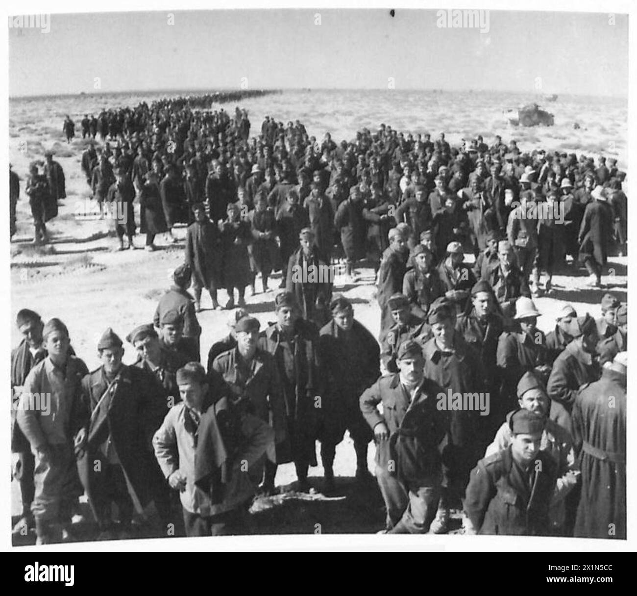 DER FALL VON TOBRUK - mehr italienische Gefangene, britische Armee Stockfoto