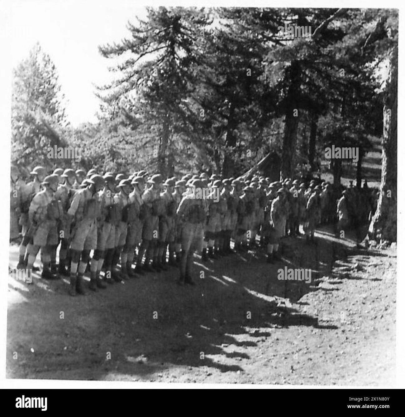 Eine Zypern Volunteer Force Forst Company der britischen Armee auf Parade vor einer Route durch Kiefernwälder marschiert. Stockfoto