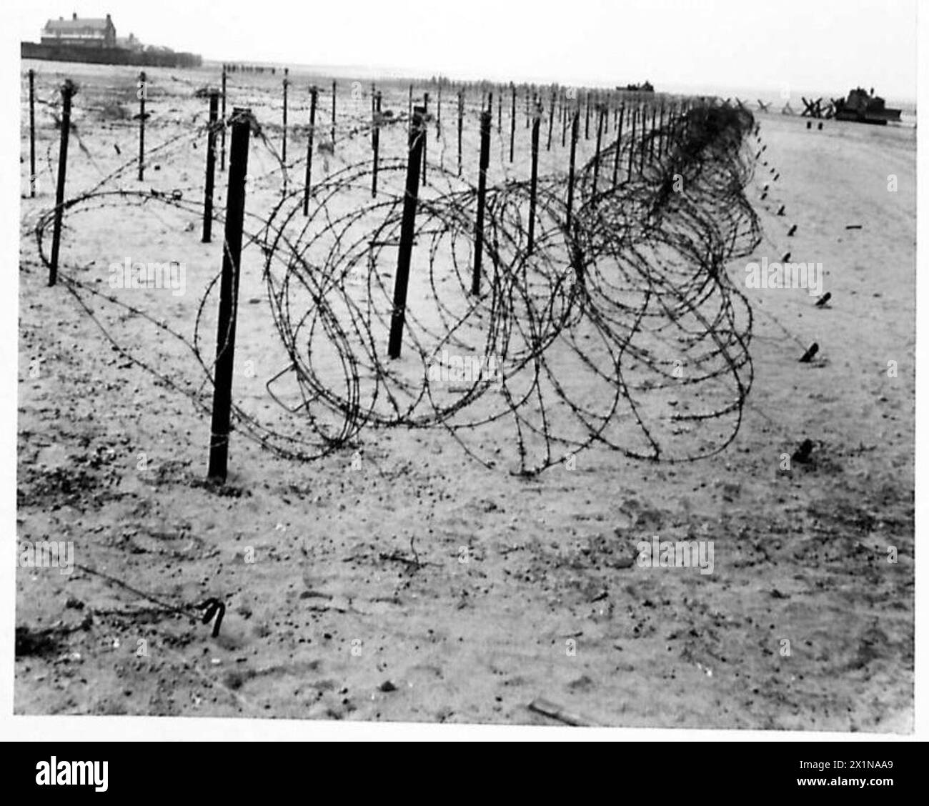 Drahtzaun wird in Verbindung mit Schlegelpanzern der 79. Panzerdivision der British Army geräumt oder demonstriert, wobei die Techniken der Kampftechnik hervorgehoben werden. Stockfoto