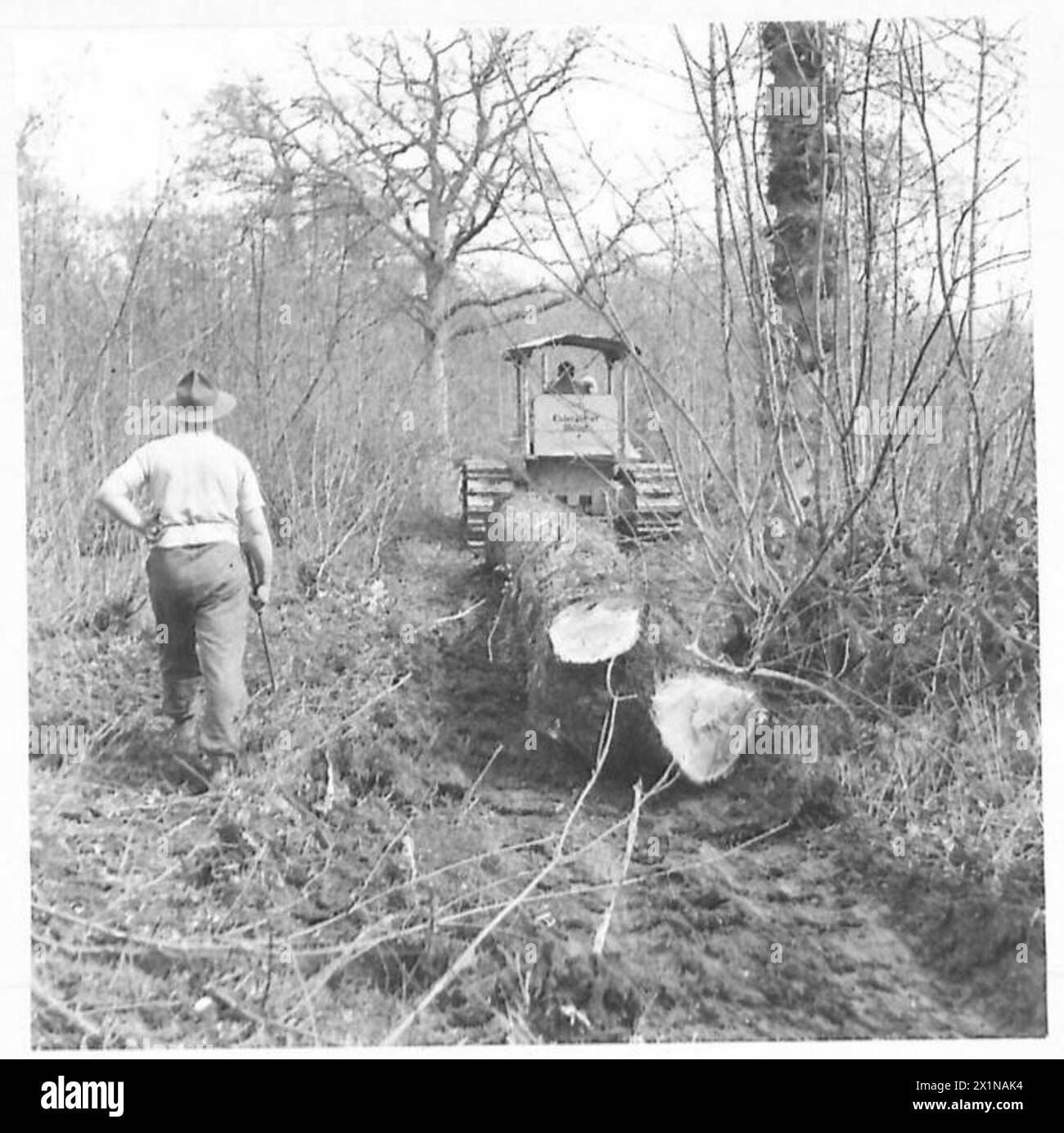 NEUSEELANDS BUSCHLEUTE BEI DER ARBEIT - sie schleppen durch das Unterholz zu den „Kufen“, um sie zum Sägewerk zu bringen, British Army Stockfoto