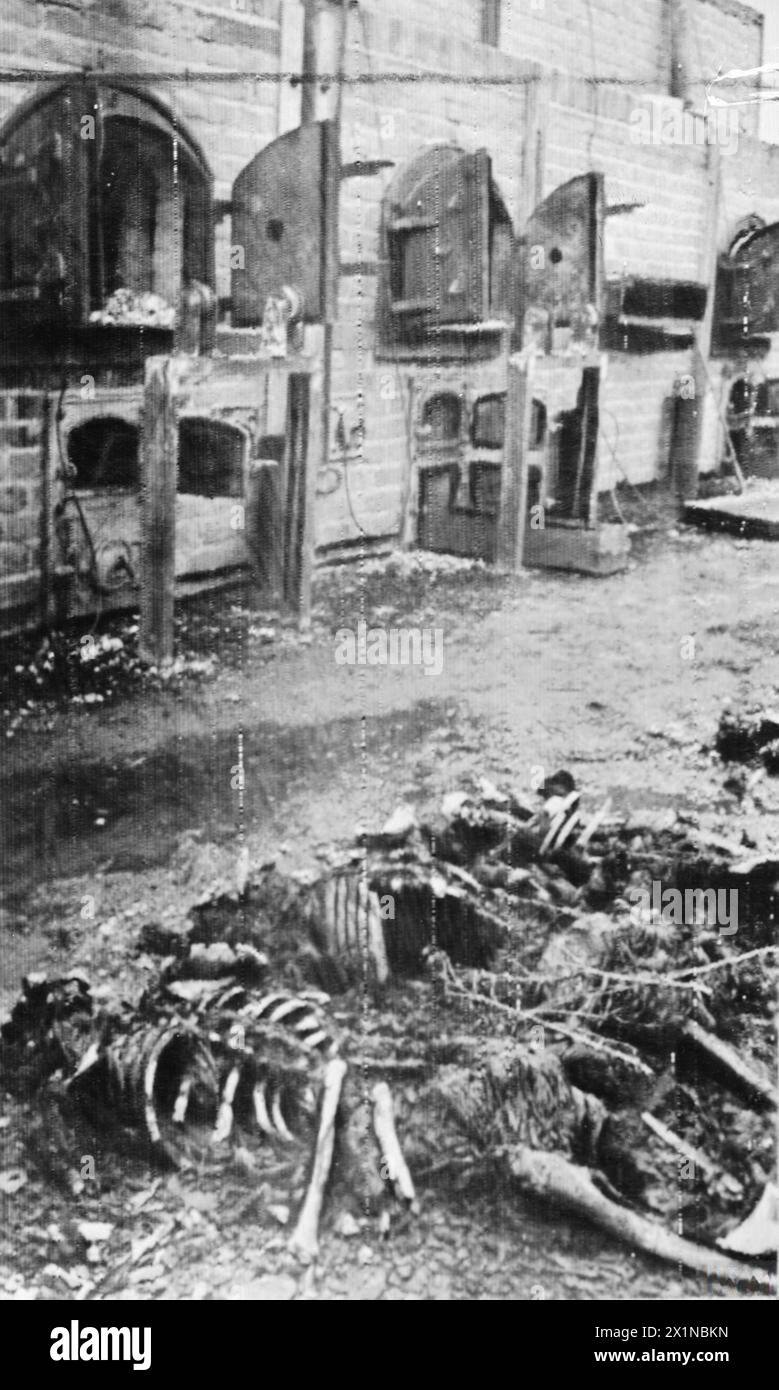 DIE DEUTSCHE BESETZUNG POLENS, 1941-1945 – Einäscherungsöfen säumen eine Wand des Krematoriums im Vernichtungslager Majdanek, Juli 1944. Im Vordergrund sind die verkohlten Überreste mehrerer Skelette deutlich sichtbar. Stockfoto